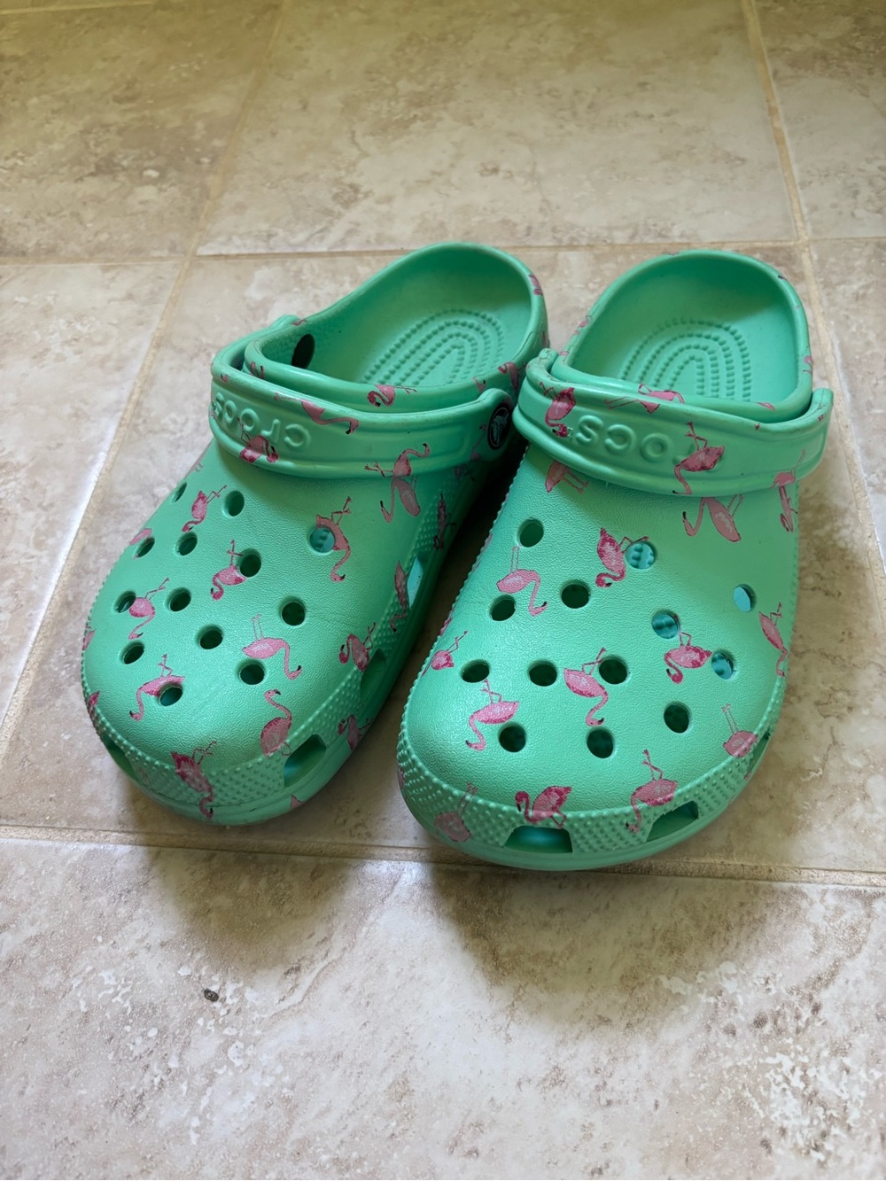 CROCS Adult Classic Clog in Mint Green with Pink Flamingo Print